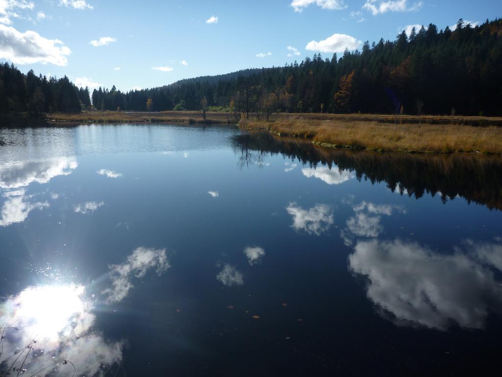 Les Myrtilles Villa Le Bonhomme Buitenkant foto