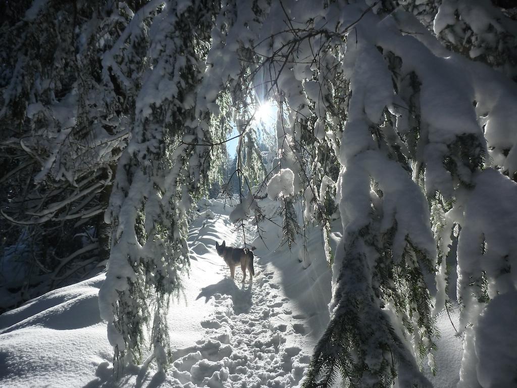 Les Myrtilles Le Bonhomme Buitenkant foto