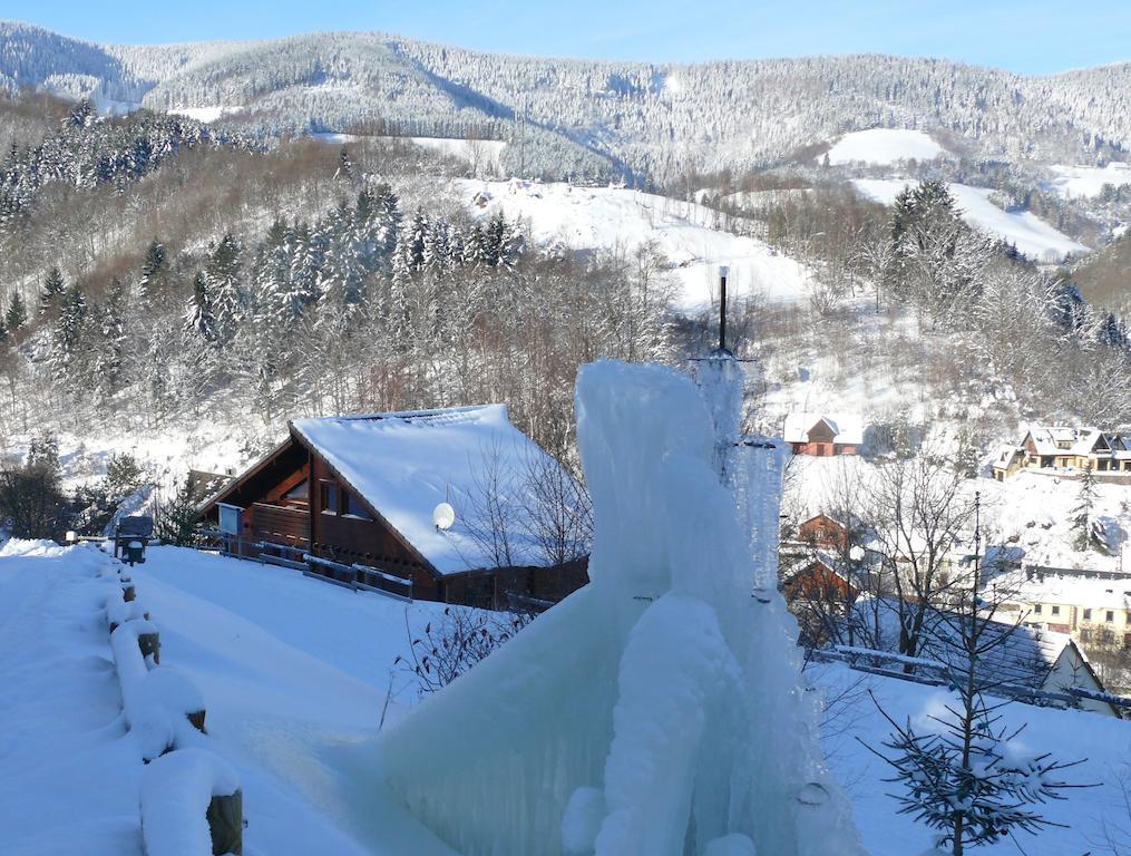 Les Myrtilles Le Bonhomme Kamer foto